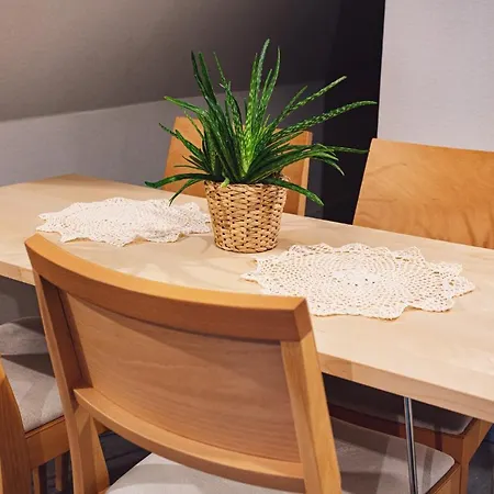 Cannes - Grota Solna, Sauna Finska Bed & Breakfast Zakopane