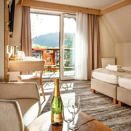 Cannes - Grota Solna, Sauna Finska Bed & Breakfast Zakopane