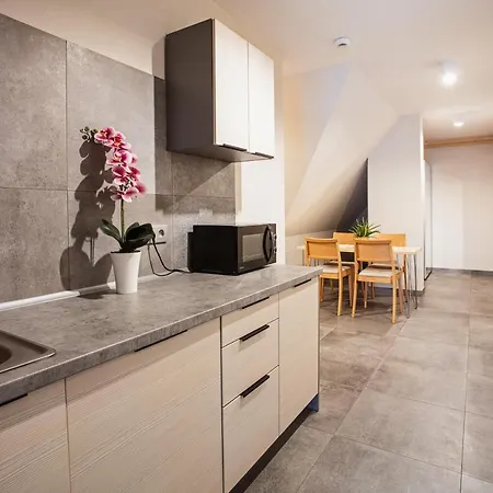 Bed & Breakfast Cannes - Grota Solna, Sauna Finska Zakopane