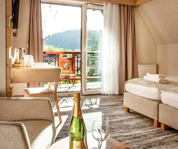 Cannes - Grota Solna, Sauna Fińska Nocleg ze śniadaniem Zakopane